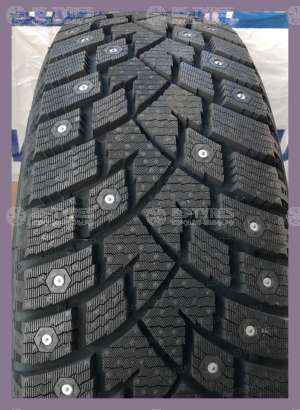 Delinte Winter WD42 285/50 R20 116T
