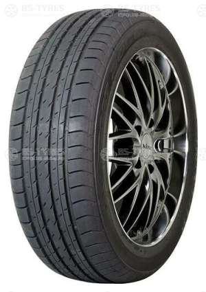 SP Sport 2050