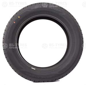 Colo H01