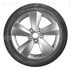 Ikon (Nokian Tyres) Character Snow 2 (Nordman RS2) 175/70 R13 82R