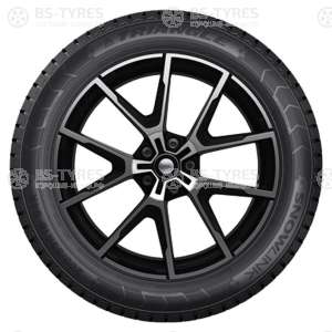 Triangle Snow PL01 235/70 R16 109R